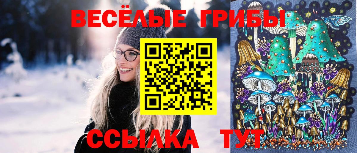 Галлюциногенные грибы Psilocybine cubensis  Вход с VPN  Алексин 
